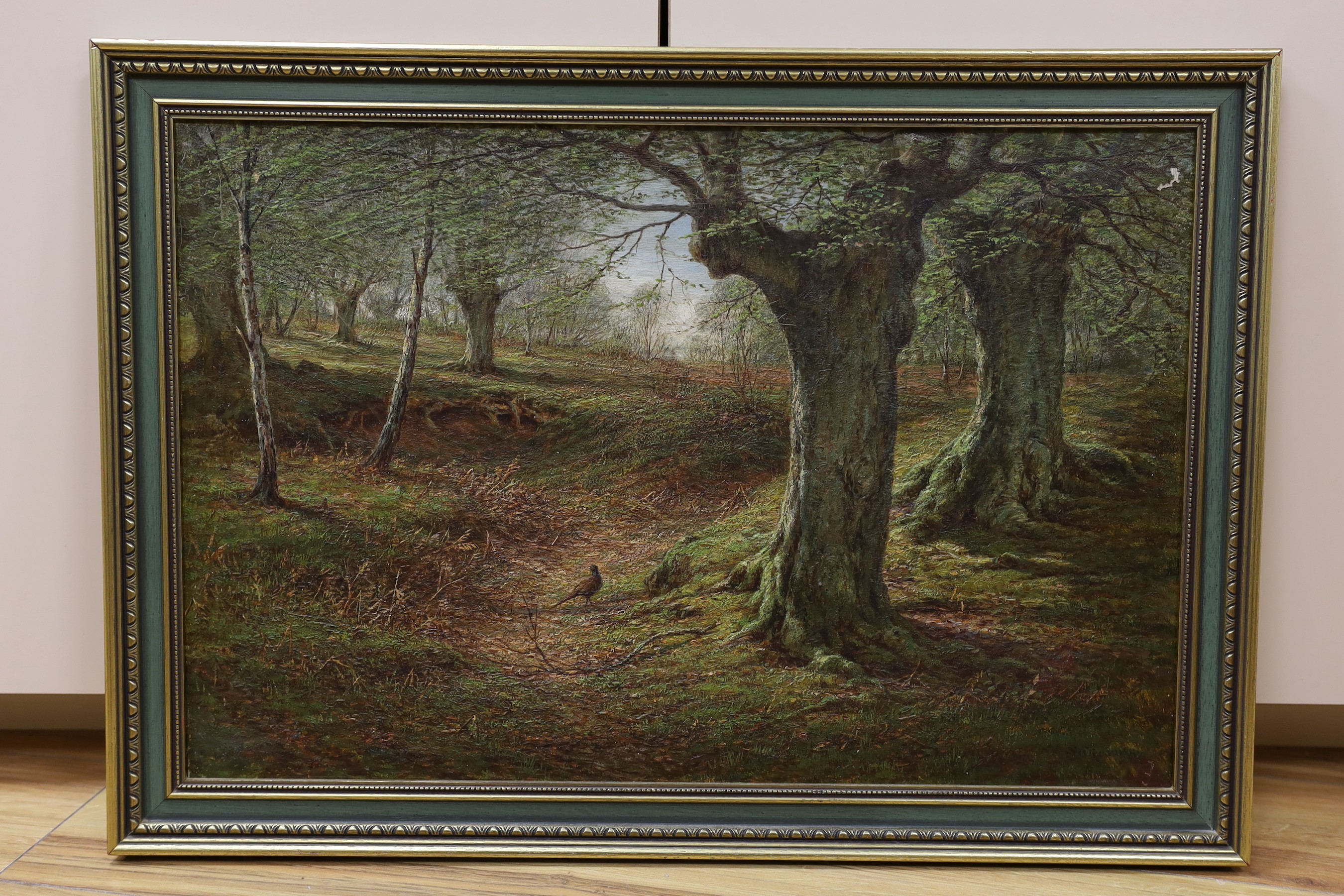 English School c.1900, oil on canvas, Pheasant in woodland, indistinctly signed, 40 x 60cm